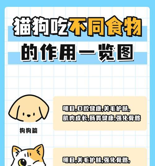 猫咪饮食禁忌与安全食物全解析