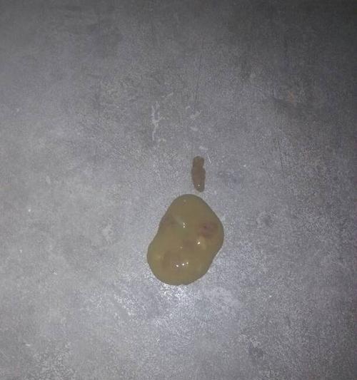 犬蛔虫感染导致狗狗拉稀的成因与防治指南