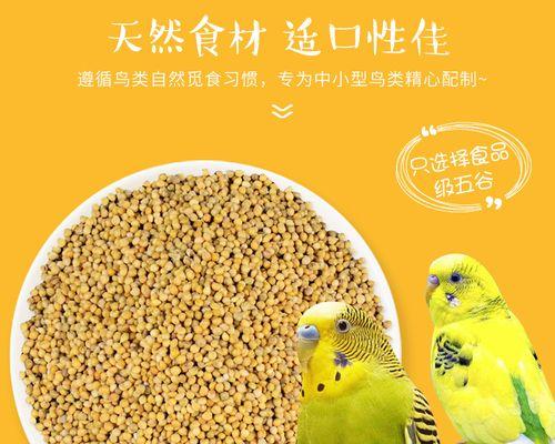 刚出生虎皮鹦鹉吃什么，科学喂养指南