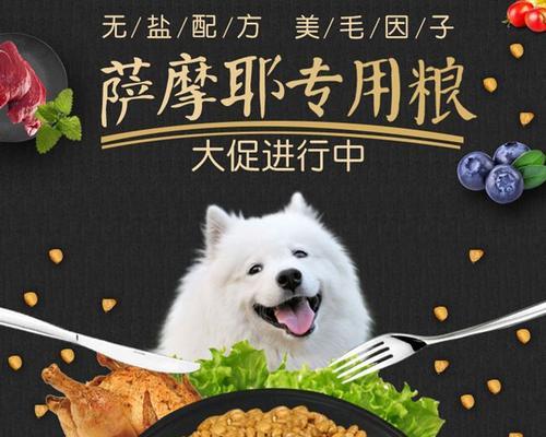狗狗如何预防白毛?营养饮食是关键 狗狗如何预防白毛?营养饮食是关键