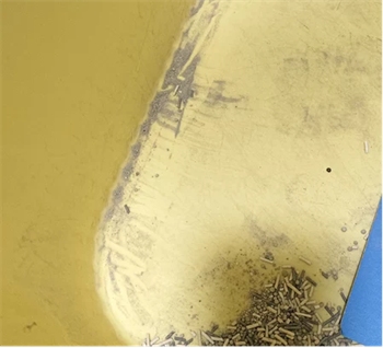 宠呦呦活性炭猫砂测评