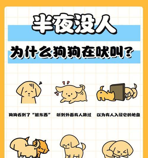 狗狗半夜跑出去的常见原因及应对方法