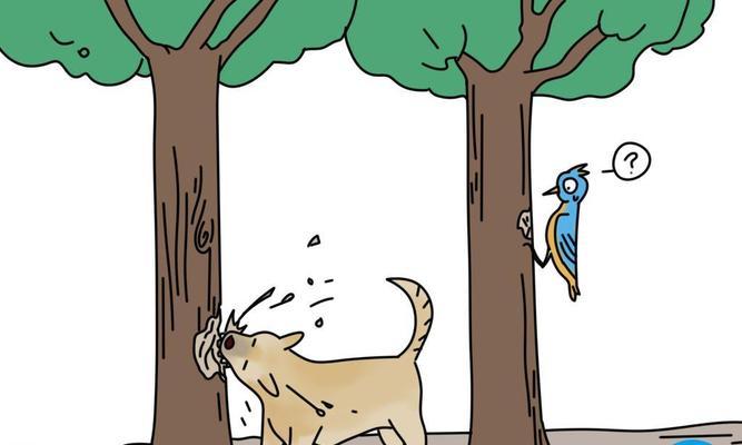 狗狗为什么会咬自己？原因与解决方法解析