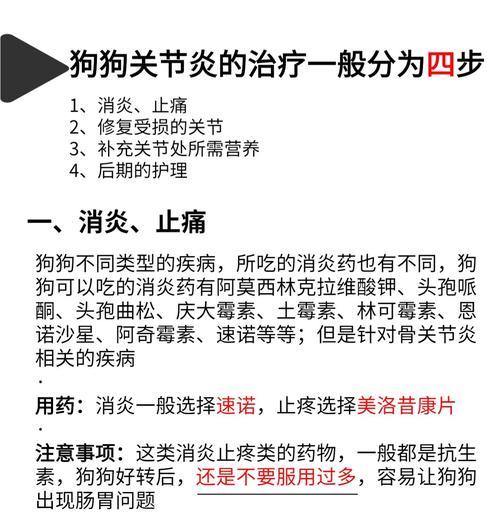 狗狗肚子响怎么办?(了解原因,合理用药解决问题) 狗狗肚子响怎么办?(了解原因,合理用药解决问题)
