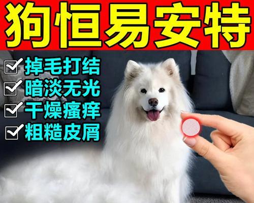 狗狗肚子响怎么办?(了解原因,合理用药解决问题) 狗狗肚子响怎么办?(了解原因,合理用药解决问题)