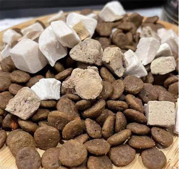 领先冻干 领先冻干