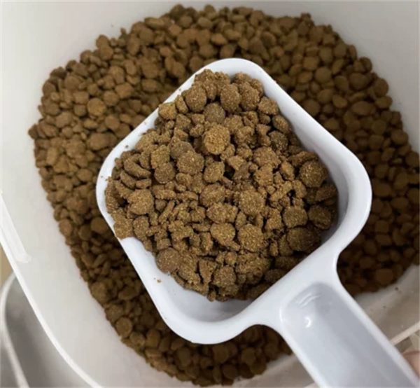 奶思的猫粮好吗？