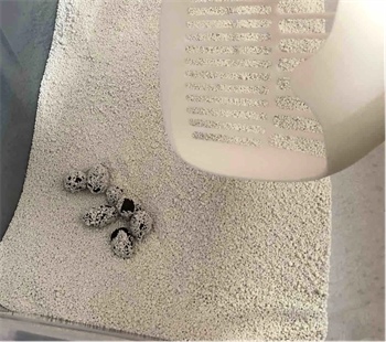 喵梵思猫砂测评