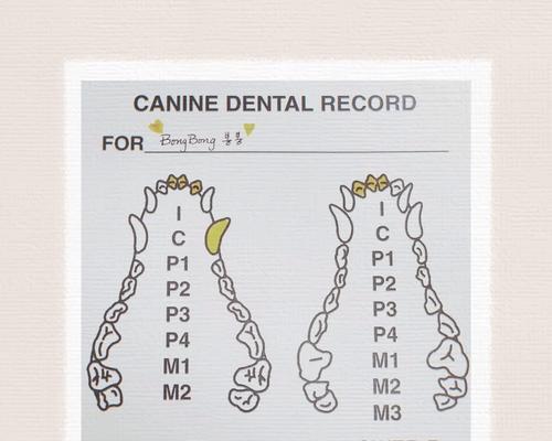 小猫的门牙何时换?(宠物猫门牙更替的关键时期与注意事项) 小猫的门牙何时换?(宠物猫门牙更替的关键时期与注意事项)