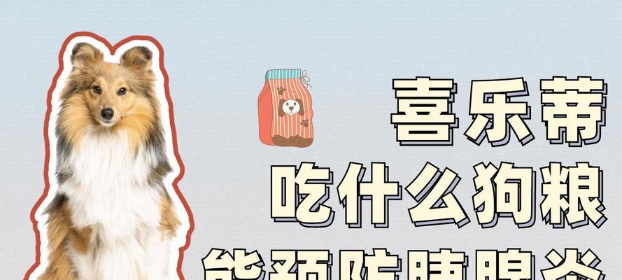 为什么狗狗需要吃狗粮？（探索狗粮在狗狗饮食中的重要性）