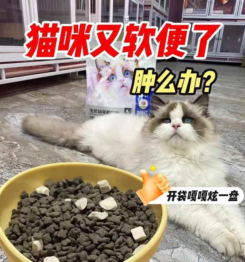 猫咪软便吃什么药？（解决猫咪软便问题的有效药物及注意事项）