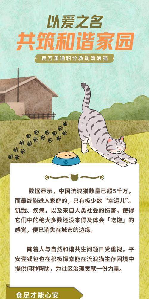 猫咪的饮食时间安排及喂养建议（了解猫咪的饮食需求，合理安排喂养时间）