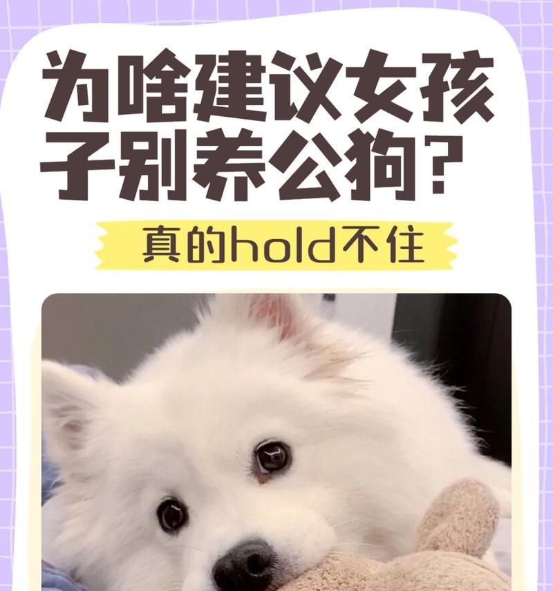 为什么不要养巨型犬?养育挑战与潜在风险解析 为什么不要养巨型犬?养育挑战与潜在风险解析