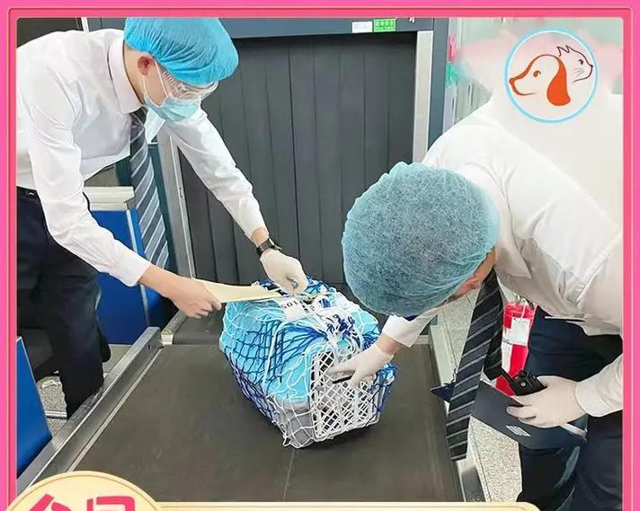 宠物寄送必备物品清单及注意事项 宠物寄送必备物品清单及注意事项