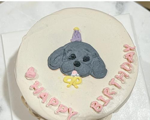 宠物寄送必备物品清单及注意事项