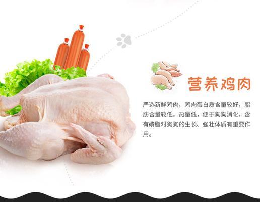 泰迪狗狗肠子堵塞症状与应对方法