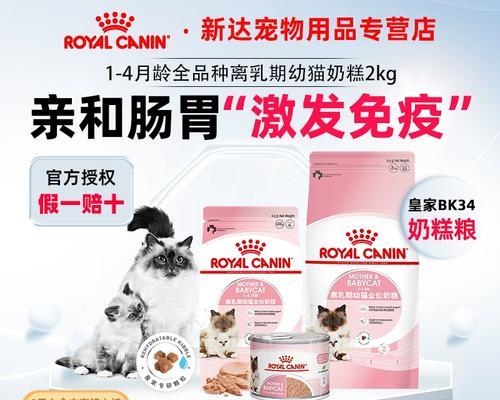 幼猫断奶的正确方法与关键注意事项