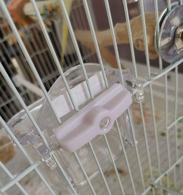 如何为兔子挑选合适的食盆促进健康成长