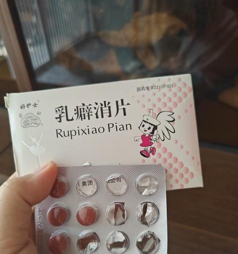 母猫产后营养需求与科学喂养方法