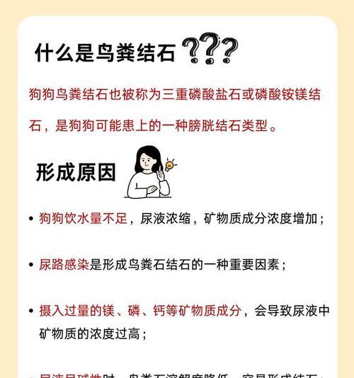 科学喂养狗狗预防结石的实用建议