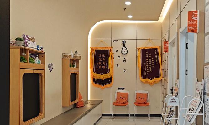 宠物医院全面解析：治疗与保健服务一站式守护