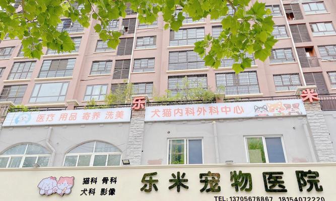 宠物医院全面解析：治疗与保健服务一站式守护