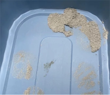 奥丁海盐猫砂测评 奥丁海盐猫砂测评