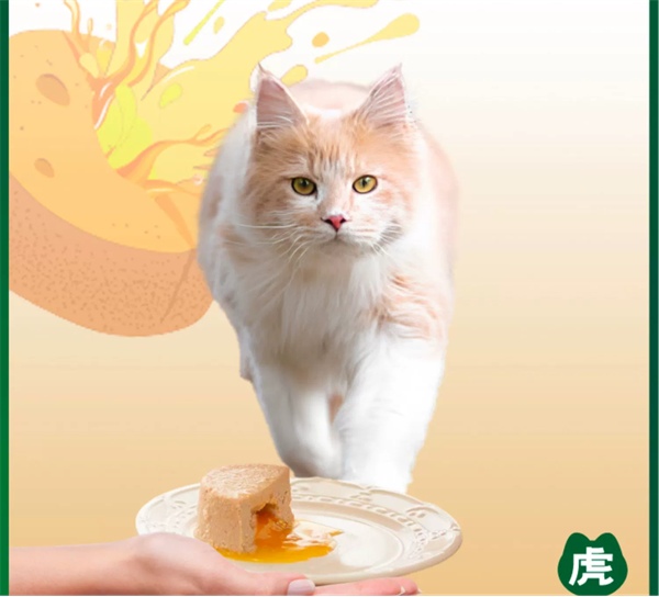 流心猫罐头测评：低敏营养，颜值出众但性价比一般