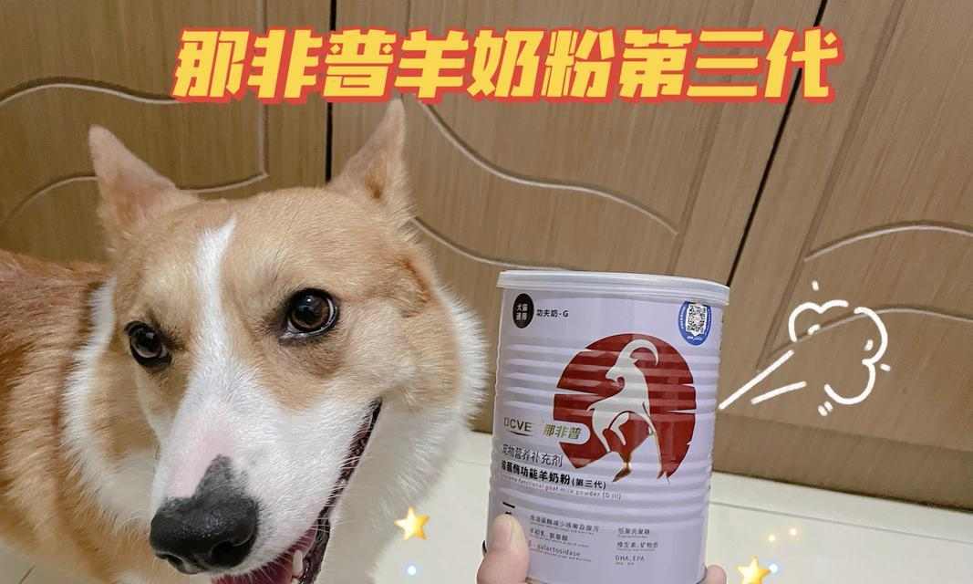 狗狗拉肚子恢复期饮食指南，科学养宠促进健康