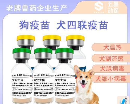 宠物狗每年需要接种的疫苗有哪些?(了解宠物狗年度接种疫苗的必要性和注意事项) 宠物狗每年需要接种的疫苗有哪些?(了解宠物狗年度接种疫苗的必要性和注意事项)