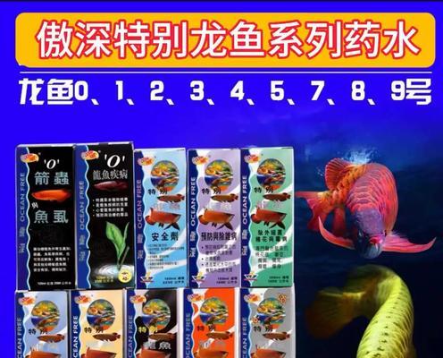 龙鱼水质管理要点:温度、pH值与清洁度 龙鱼水质管理要点:温度、pH值与清洁度