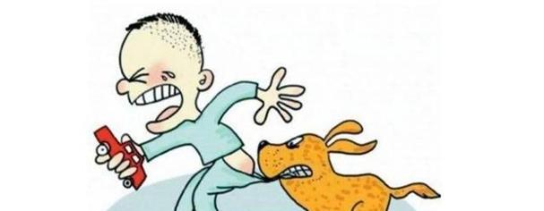 萨摩犬咬人原因及如何预防