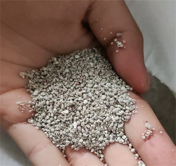 猫砂测评 猫砂测评