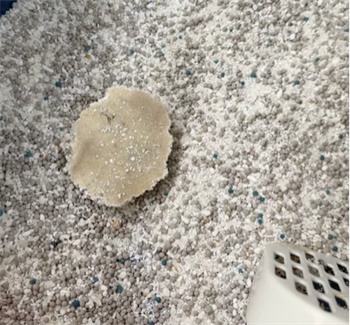 许翠花混合猫砂