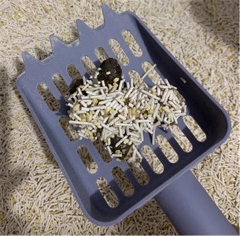 无尘猫豆腐猫砂