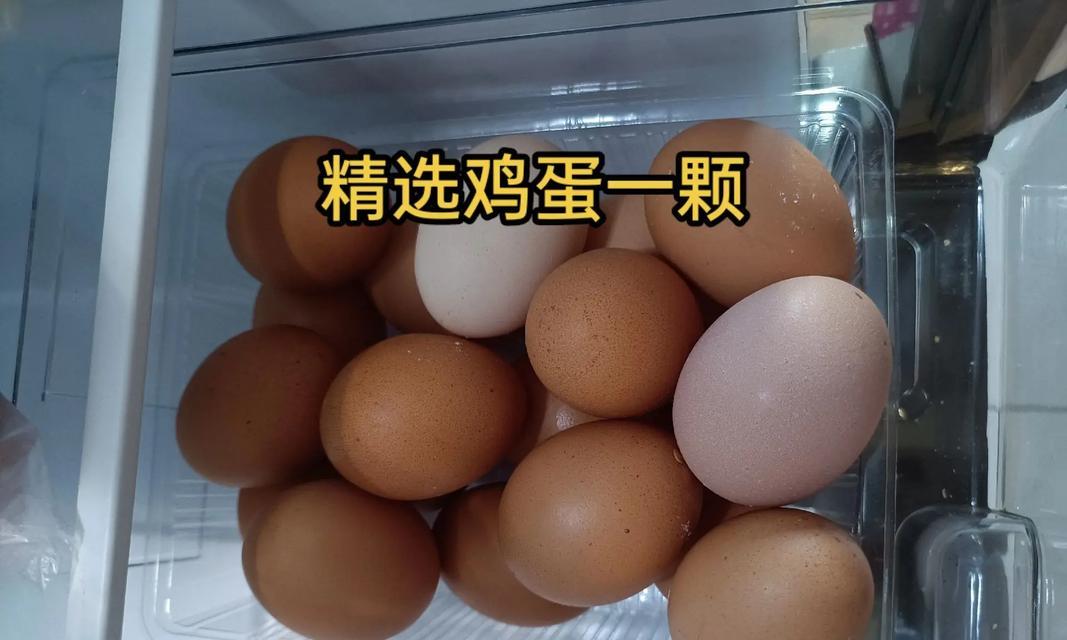 猫咪毛色绚丽的饮食秘诀