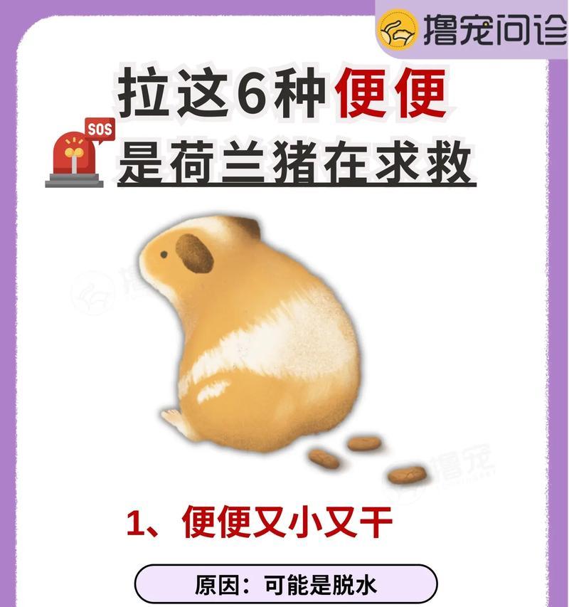 小而香（微观世界中的奇妙细节——细小便便的形态与特性）