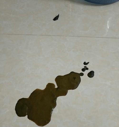 小而香（微观世界中的奇妙细节——细小便便的形态与特性）