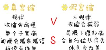 泰迪狗宫缩原因与症状全解析，如何应对与护理