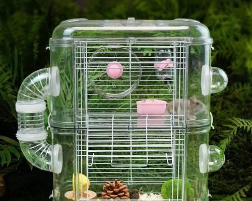 选择合适的笼子给你的仓鼠一个温馨的家园（如何为你的仓鼠选择适合的笼子）