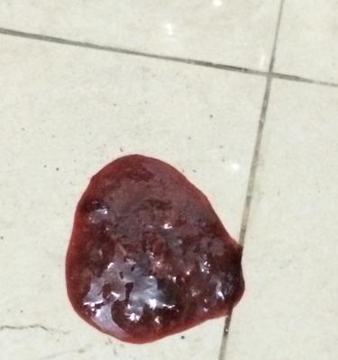 成年狗拉血的常见原因及应对方法