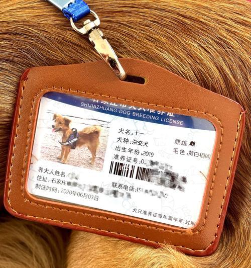 深圳办理狗证所需材料及步骤（办理狗证的流程详解，帮您轻松完成注册手续）