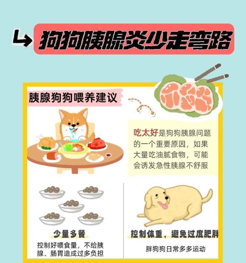 揭秘狗狗长不胖的原因（狗狗如何保持健康体重）