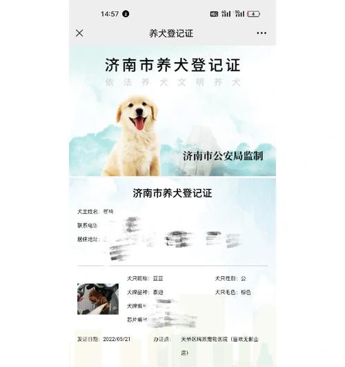 深圳养犬证办理全攻略，材料与流程一次说清