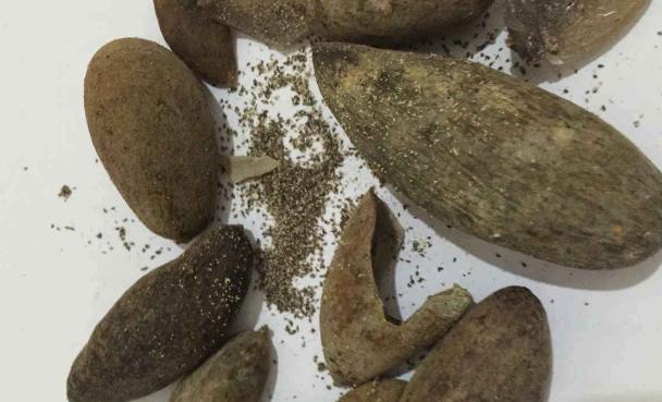 肚子长虫,你应该知道的症状(揭开肚子长虫症状的真相,了解) 肚子长虫,你应该知道的症状(揭开肚子长虫症状的真相,了解)