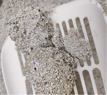 猫砂测评 猫砂测评