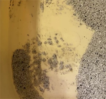 喵彩猫砂测评 喵彩猫砂测评