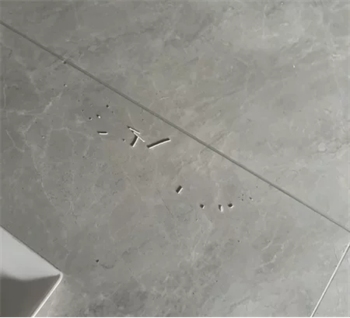 猫殿下猫砂测评 猫殿下猫砂测评