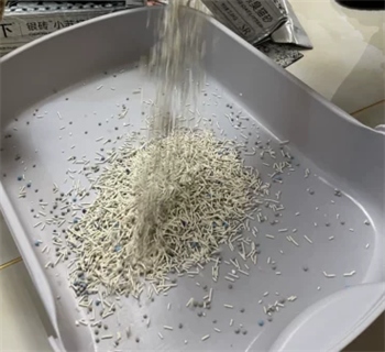 猫砂测评 猫砂测评