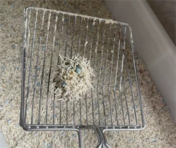 猫殿下银砖小苏打怎么样 猫殿下银砖小苏打怎么样